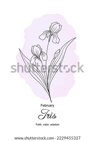 February birth month flower Iris print. Botanical floral line art drawing with Iris flower meaning. Hand drawn monochrome black ink outline vector illustration on watercolor violet background. Royalty-Free Stock Photo #2229455327