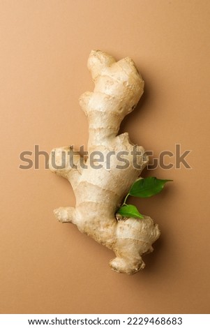 Fresh ginger with green leaves on light pale brown background, top view
