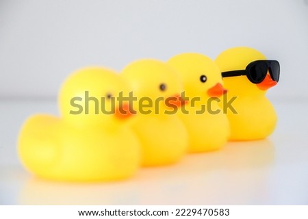 Cool yellow rubber duck with black sunglasses leads a group of four. Idiomatic and phrase concept of organisation, to get one’s ducks in a row. Royalty-Free Stock Photo #2229470583