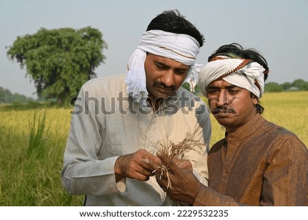 Portrait of Indian farmer doing cultivation at agriculture field