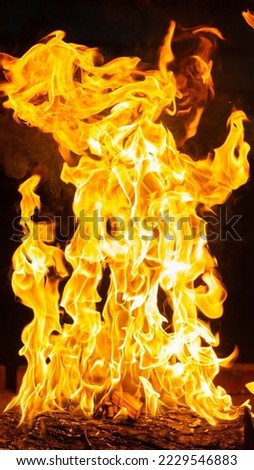a tall fire burning wood