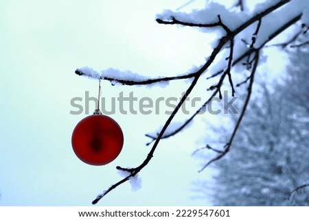 Christmas bauble hanging from a snow covered tree outside. Red ball at branch. Minimalistic photo. Winter 2022. Stockholm, Sweden, Scandinavia, Europe.