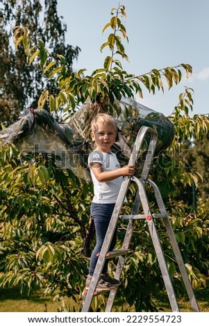 A cute little boy stands on the stairs and helps his parents with gardening in the summer in the village. trampoline
