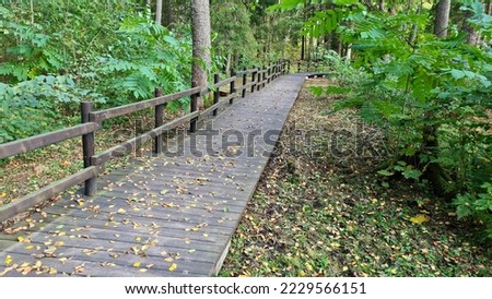 Wooden paths for walking and people doing sports in the forest among pine trees.