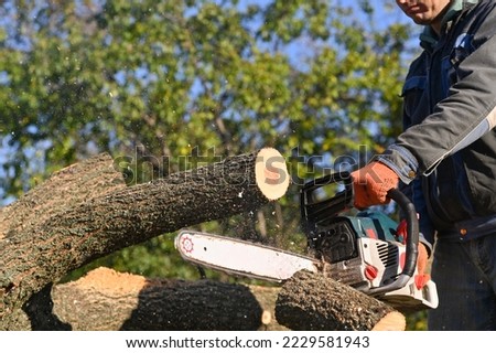 The man sawed off a log with a chainsaw. The sawn log falls. Royalty-Free Stock Photo #2229581943