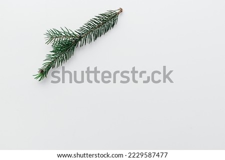 Pine tree branches isolated on white background.
