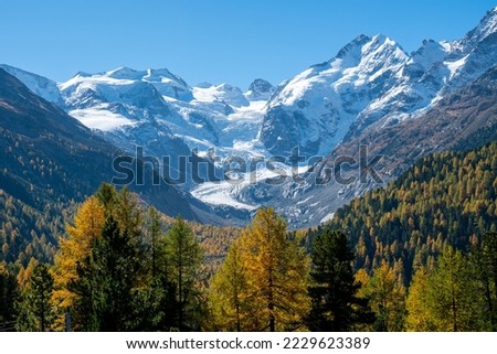 Mortaratsch Glacier during early October, golden larches, Pontresina Graubünden, Switzerland Royalty-Free Stock Photo #2229623389