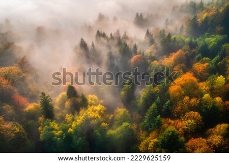 Aerial view of beautiful colorful autumn forest in low clouds at sunrise. Top view of orange and green trees in fog at dawn in fall. View from above of woods. Nature background. Multicolored leaves Royalty-Free Stock Photo #2229625159