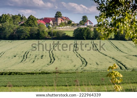 The houses at the green field in summer