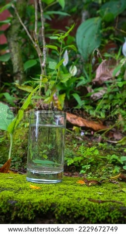 Glass with water on green plant background