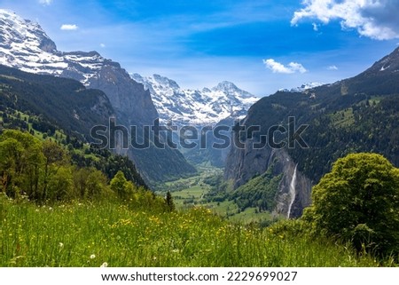 View of the Lauterbrunnen valley from the Wengwald area in the Swiss Alps in Switzerland.  Patch of yellow wild flowers in the foreground. 