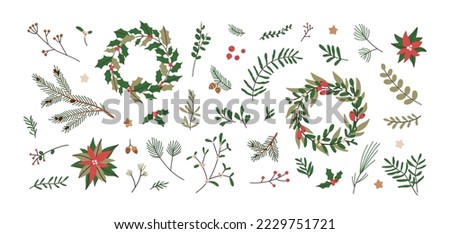 Fir branches, wreaths, leaf, Christmas decoration. Xmas floral design elements set. Tree twigs, leaves, berries, flowers, natural decor. Flat graphic vector illustrations isolated on white background