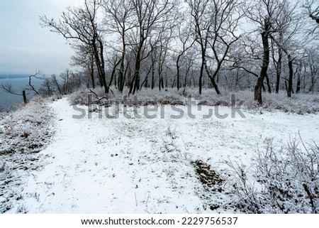 The first snow in the Zhigulyovo Mountains!