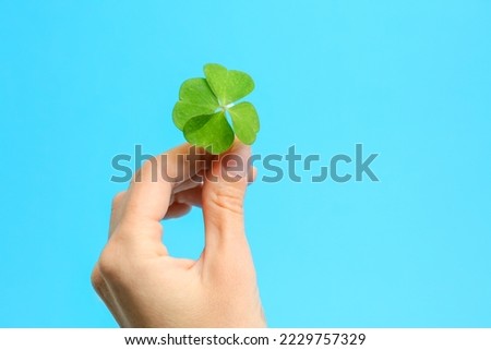 Woman holding beautiful green four leaf clover on light blue background, closeup