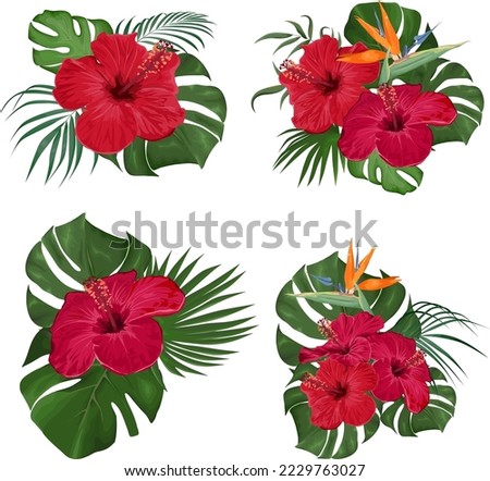 Vector Floral Collection. Juicy monster leaves, palm trees, red hibiscus, strelitzia flower. Floral compositions on white background 