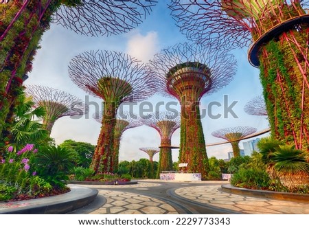 Supertree Grove in Garden by the Bay at Singapore. Landscape of Singapore business building around Marina bay. Royalty-Free Stock Photo #2229773343