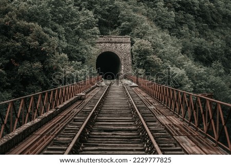 Rusty train tracks lead into a dark tunnel in a desaturated landscape Royalty-Free Stock Photo #2229777825