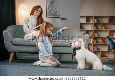 Giving the sweet meal to the animal. Mother with daughter is at home with maltese dog.
