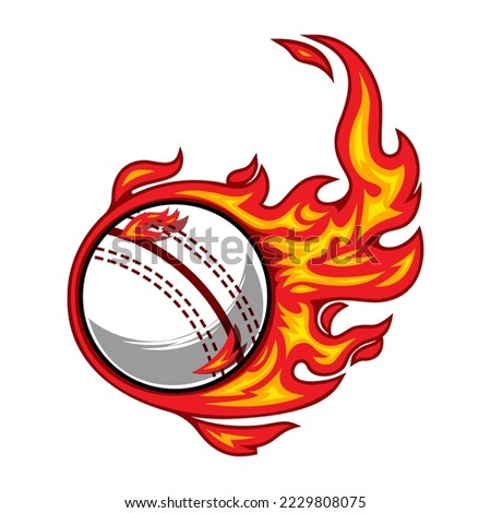 cricket ball fire logo silhouette. cricket club graphic design logos or icons. vector illustration.
