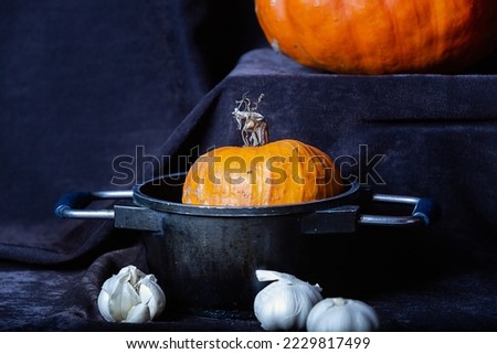 Pumpkin in black pot with garlic in dark background