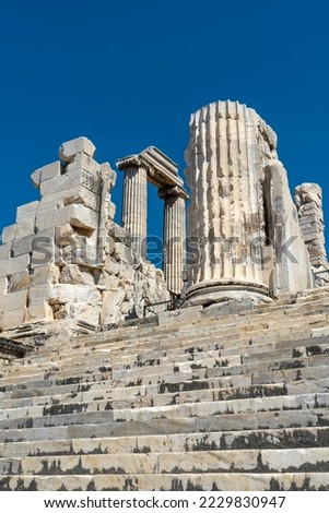 Ruins and inner staircase of Apollo Temple in Didim, Didyma ancient city, Aydin, Turkey, from inner sanctuary on blue sky background. Copy space for text, vertical photography.