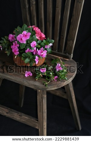Still life flowers on the chair in darkmood photography, selective focus.