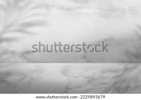 Marble White and Gray color with Palm Leaf shadow on Wall Studio background.Grey nature granite floor surface good for presentation cosmetic products for sale online. Minimal concept