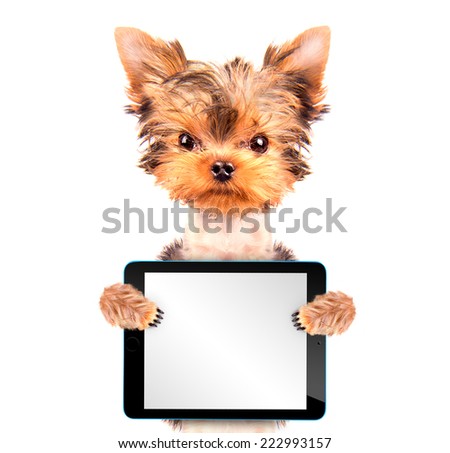 dog holding a  blank tablet pc on paw