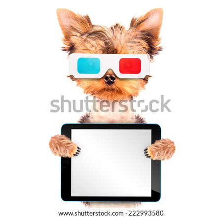 dog going to the movies isolated and holding a blank tablet pc 