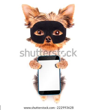 super hero puppy dog wearing a black mask holding phone with empty white screen