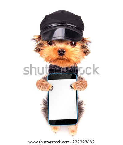 A dog wearing a cap holding phone with empty white screen