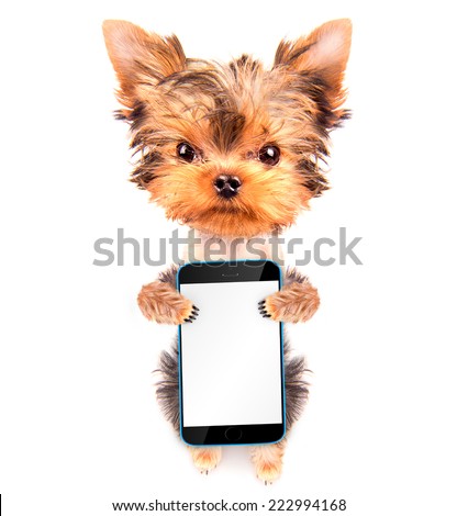 cute dog holding phone with empty white screen