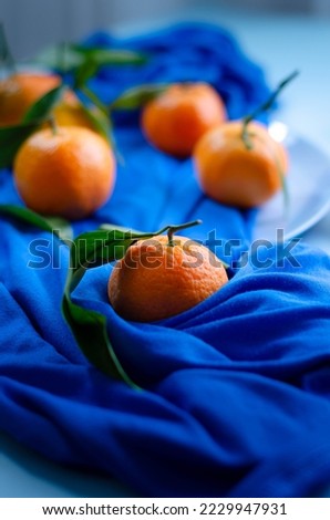 Top view of ripe fresh mandarins or tangerine orangers with green leaves in blue background. Composition with clementines in complementary colors