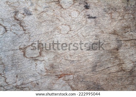 wood surface
