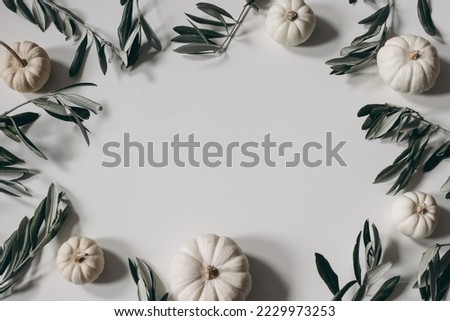 Autumn floral decorative frame, border. White little pumpkins and olive tree leaves and branches isolated on table background. Seasonal banner for Thanksgiving, Halloween. Winter holiday flat lay, top