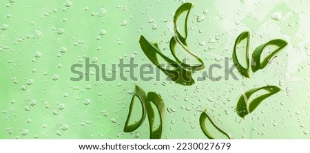 Slices of aloe vera in the cosmetics gel with bubbles inside.Cosmetics background,mint color,large banner with negative space.