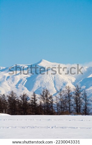 Snow Field and Snow Mountains with blue sky
