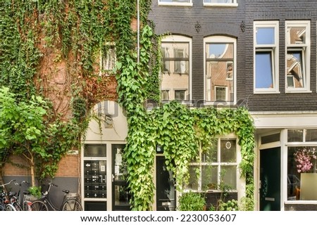 View of street near building with beauty of vegetation outside