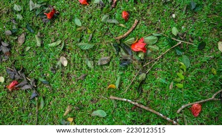 green grass with red flowers falling. as background