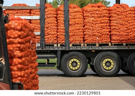 Forklift Loading Palletized Onion Bags Wrapped in Netting into the Truck for Distribution To Market. Onion Harvest Campaign 2022. Preparing Packages of Yellow Onion for Shipping.