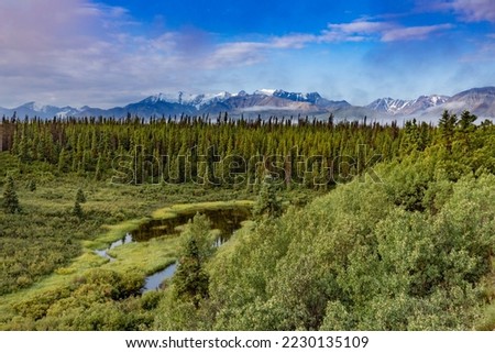 Boreal forest taiga wilderness landscape with Kluane National Park mountains of Mt. Cairnes and Mt Decoeli in background near Silver City, western Yukon Territory, YT, Canada Royalty-Free Stock Photo #2230135109