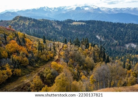 Beautiful picture with a drone_camera of a autumn trees and snowy mountain 
