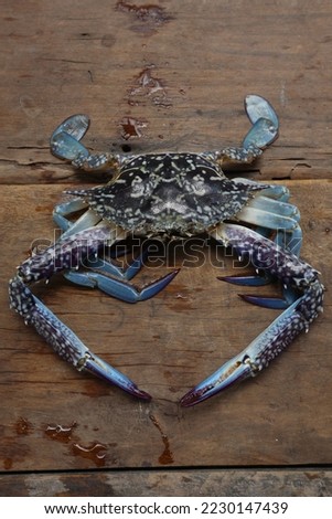 Aru Islands-Indonesia November 24 2022, A blue crab crab is on a brown wooden board.  These crabs live in the sea, this type is usually found in shallow coastal areas, especially in the waters of the  Royalty-Free Stock Photo #2230147439