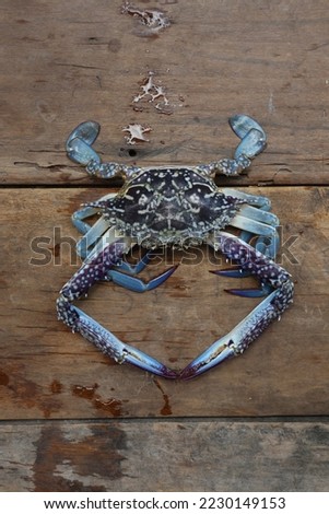 Aru Islands-Indonesia November 24 2022, A blue crab crab is on a brown wooden board.  These crabs live in the sea, this type is usually found in shallow coastal areas, especially in the waters of the  Royalty-Free Stock Photo #2230149153