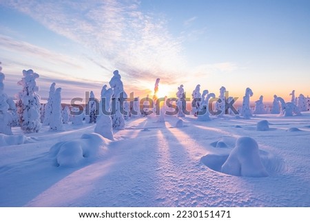 Winter wonderland in Finnish Lapland. Winter landscape from Riisitunturi National Park, Posio, Finland Royalty-Free Stock Photo #2230151471