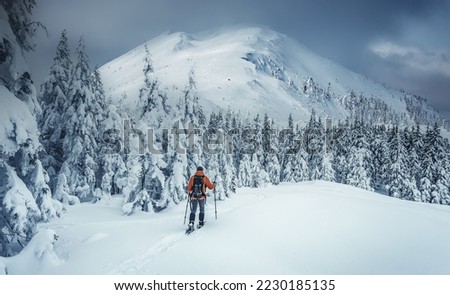 Incredible nature scenery im mountain. Beautiful natural landscape in the winter sunny day. Adventurous traveller standing in front Snowcovered trees and majestic rocky mount, under sunlight. 