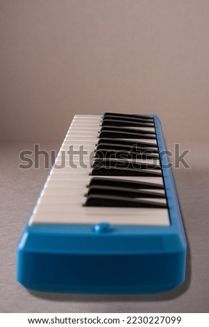musical instrument Melodika, side view, selective focus