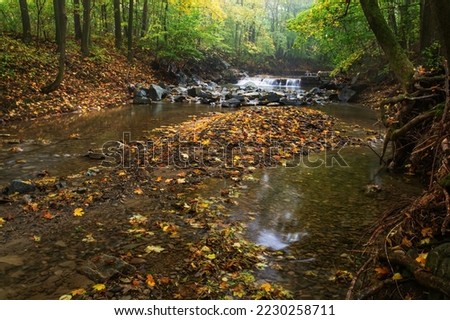 Alluvial stones in the riverbed below the broken weirs. Misty autumn. Juhyn. Czechia.