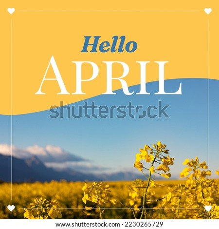 Composition of hello april text over flowers on yellow and blue background. Hello april, spring and nature concept digitally generated image.
