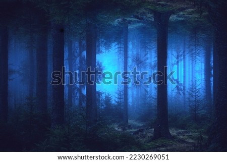 fantasy forest background - forest mirror dark shades of blue